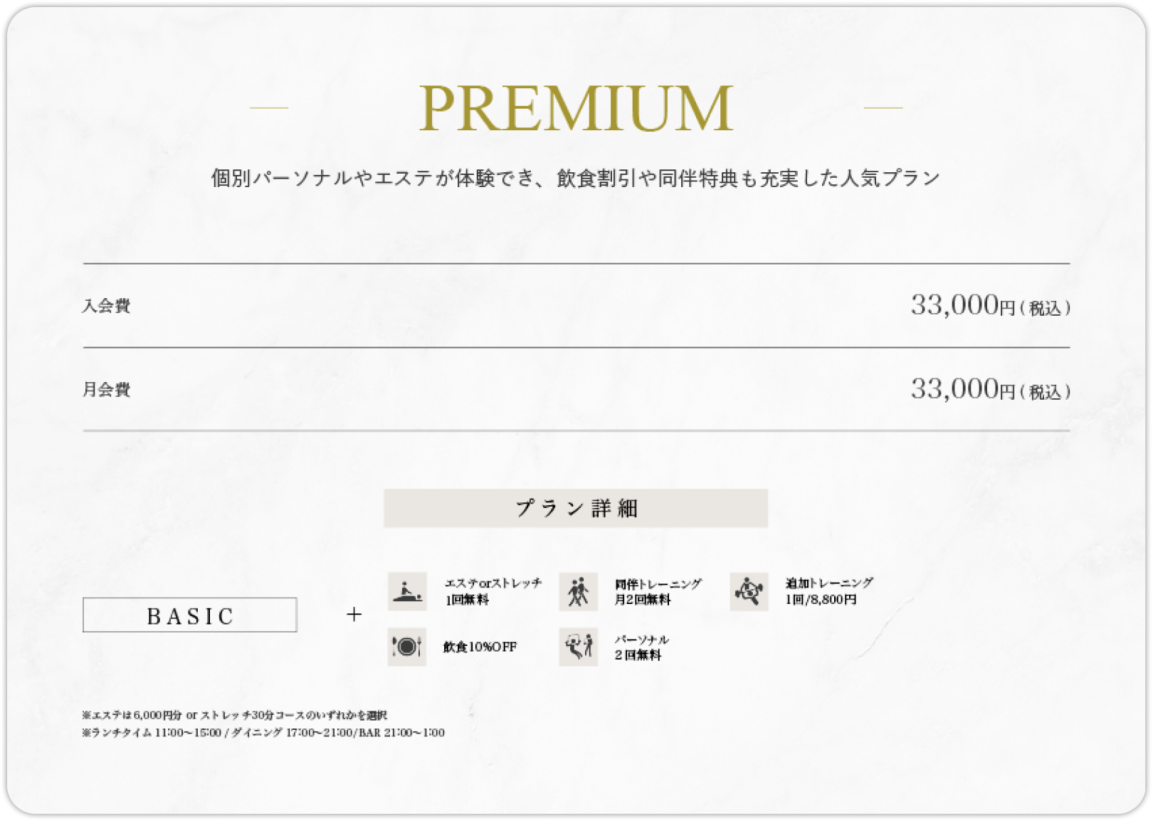 Premium Plan