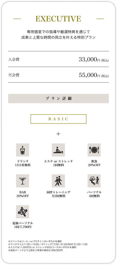 Executive Plan
