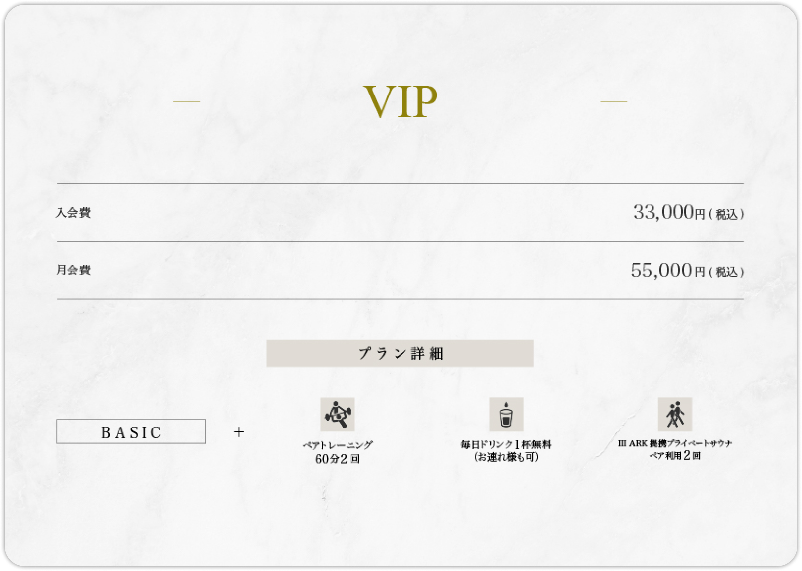 VIP Plan